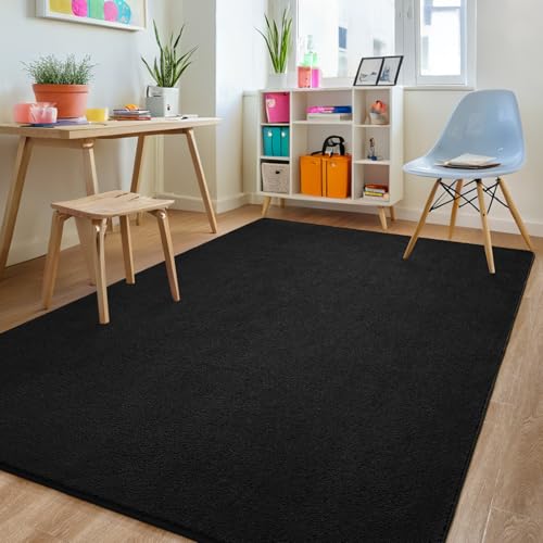 FALARK 5x7 Black Modern Minimalist Area Rug - Rectangular Wool Coral Fleece Carpet