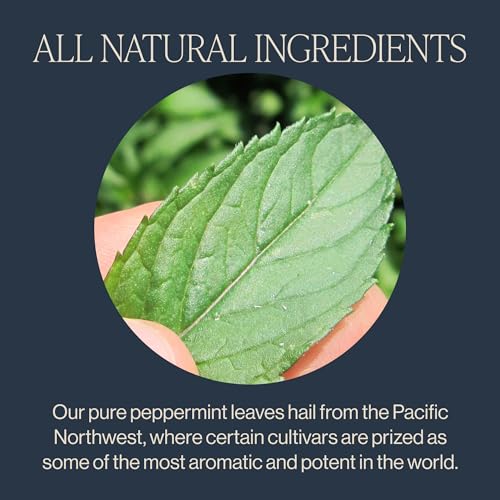 Peppermint Organic Herbal Tea Bags - 50 Count, Caffeine Free | Variation: Peppermint / 50 Count