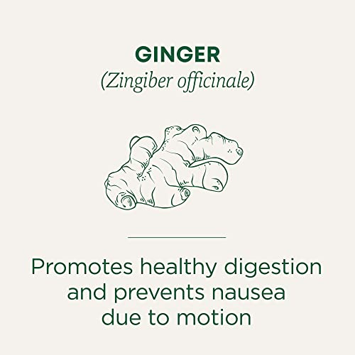Organic Ginger Tea Bags - Herbal Digestion & Nausea Relief, 96 Count