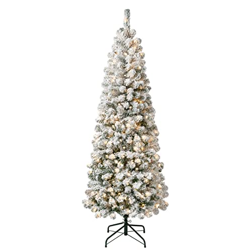 6ft Pre-Lit Flocked Acacia Artificial Christmas Tree - National Tree Company