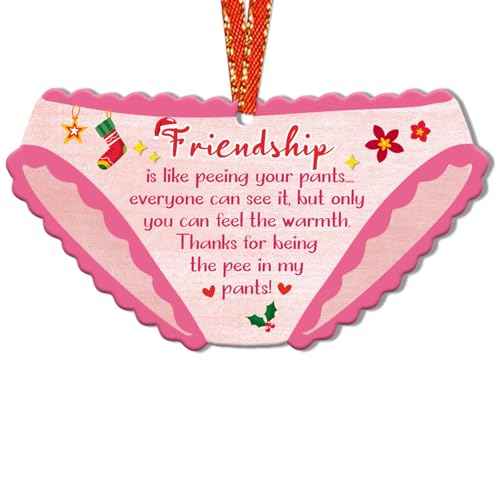 Friendship Christmas Ornament Funny Friends Christmas Ornament for Christmas Tree Funny Friendship Ornament Christmas Decorations Xmas Gifts for Girls Bestie Soul Sister Women Friends (2D)