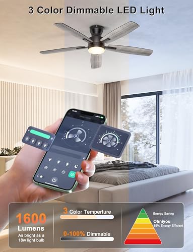 Low Profile Ceiling Fan with Lights 52 Inch Black Remote & App Control