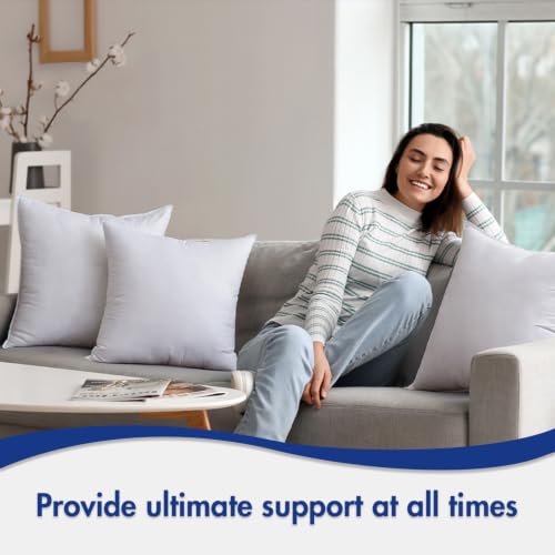 MIULEE 24x24 Pillow Inserts Pack of 2,Down Alternative Throw Pillows