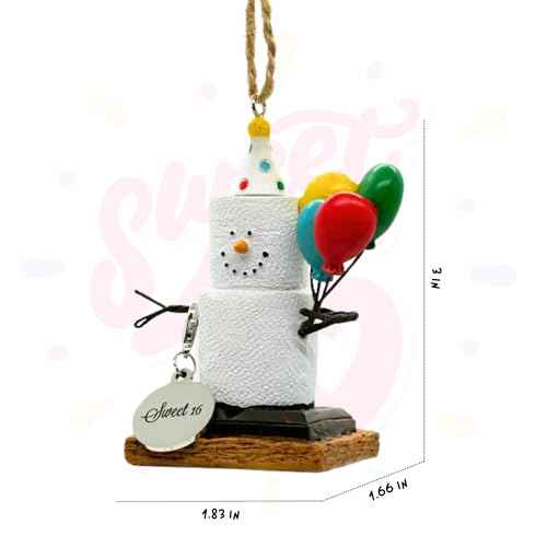 S¡¯More Birthday Ornaments for Christmas Tree, Desk, Shelf - Happy Birthday Ornaments Sweet 16