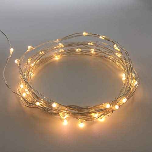 2 Pack Battery Operated Mini Led Lights,Indoor Fairy Lights with Timer 6 Hours on/18 Hours Off for Bedroom Wedding Christmas Party Decorations,30 Count LEDs,10 Feet Silver Wire (Warm White)