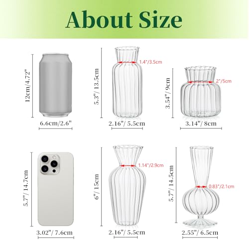 Mini Glass Vases for Centerpieces - Clear Bud Vase Set of 16, Small Flower Vases for Wedding & Home Decor - Hewory