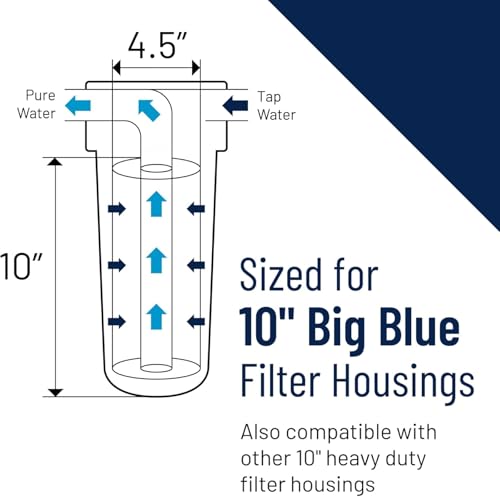 Pentair Pentek GAC-BB 10x4.5 inch Whole House Carbon Water Filter 2-Pack