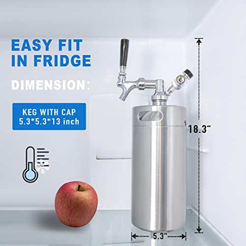 128oz Stainless Steel Mini Keg Growler with Pressurized Home Beer System