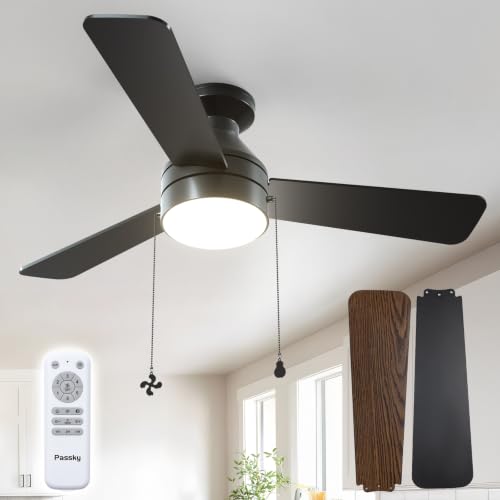 Passky 42 Inch Black Low Profile Ceiling Fan with Light Remote & Pull Chain