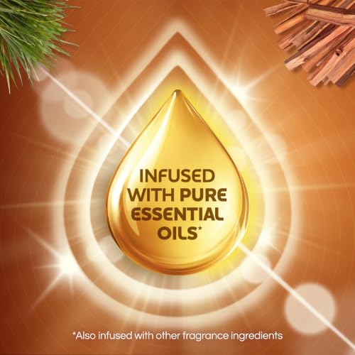 Air Wick Plug-In Refills - Caribbean Sweet Grass & Sandalwood, Essential Oil, 10 Count