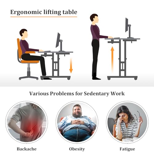 Enayplon Small Standing Desk on Wheels - Portable Adjustable Height Mobile Workstation, Black