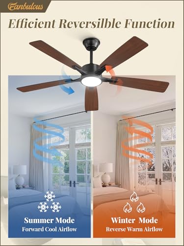 Fanbulous 52 Inch Ceiling Fan with Lights Black Remote & App Control