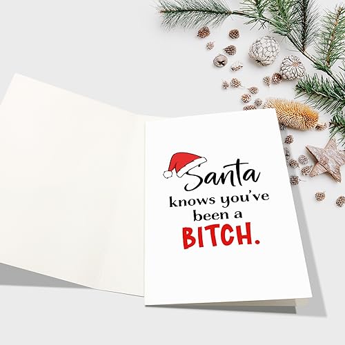 Bitch Christmas Card for Her - Funny Snarky Card for Bestie Sister, Santa Knows You've Been A Bitch