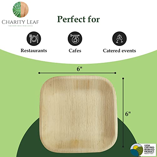 Charity Leaf Disposable Bamboo Square Plates 6-inch - Pack of 200, Eco-Friendly Catering Serveware