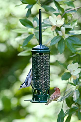 Mini Squirrel-Proof Bird Feeder - 1 Pack, Seed Saver, Compact Design