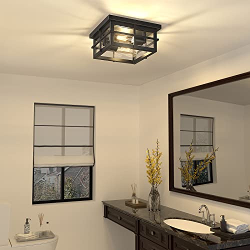 2-Light Modern Outdoor Ceiling Light Fixture with Clear Glass Shade - Black Farmhouse Square Flush Mount