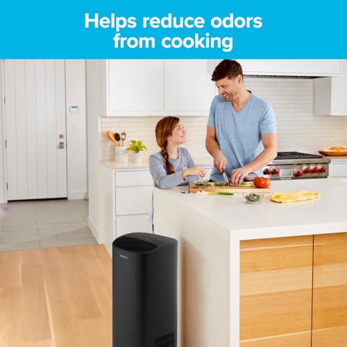 Filtrete True HEPA Air Purifier Filter 13x8.2 Inches 2-Pack for Cleaner Indoor Air