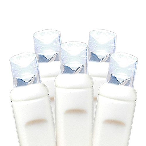 White Wire 10 LED Christmas Mini Light Set - Pure White, 5 Feet, Indoor & Outdoor