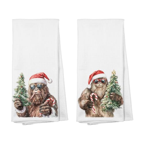 ZNGFON Christmas Tree Candy Cane Decor Hand Towels 16x24 Set of 2 - Decor 19