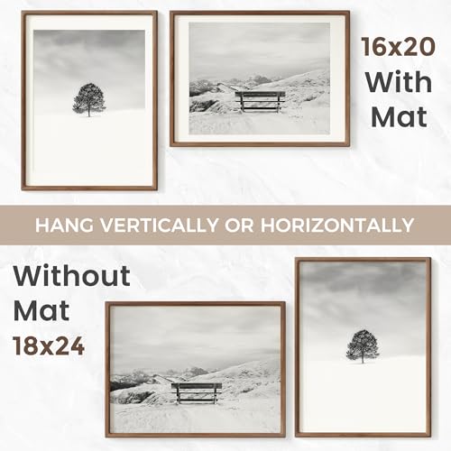 American Black Walnut Picture Frame Set of 2 - 18x24 Home Decor