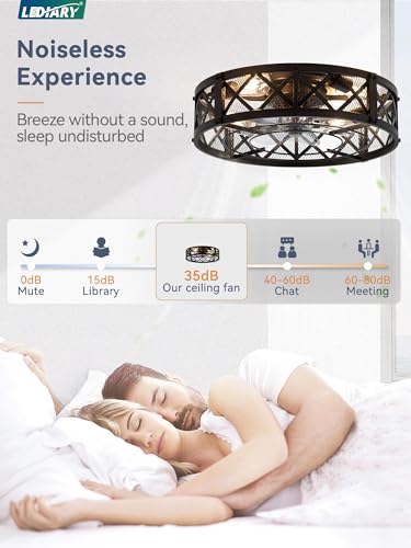 20-Inch Black Caged Farmhouse Ceiling Fan with Light - Flush Mount, Remote & App Control