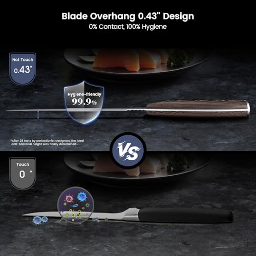 SYOKAMI 9 Inch Fillet Knife with Leather Sheath - Flexible Fish & Meat Boning Knife, Non-Slip Wooden Handle, Professional Japanese Outdoors Kitchen Tool