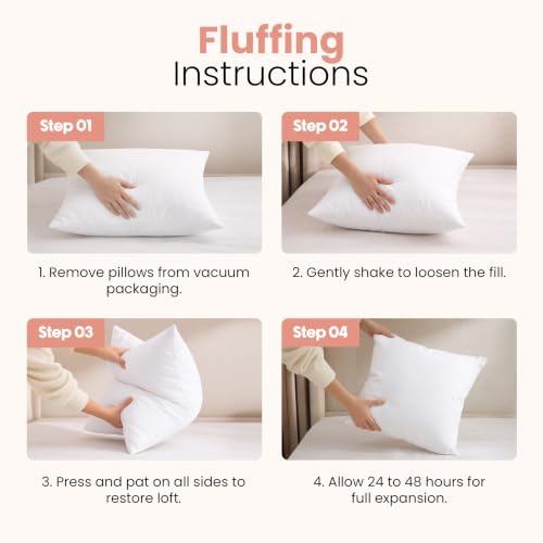 White 22x22 Inch Pillow Inserts - 2 Pack, Supportive & Bounce Back Cushions