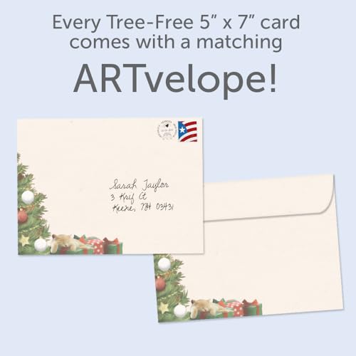 Tree-Free Greetings 10-Pack Christmas Cards - Cat Nap Santa Holiday Set