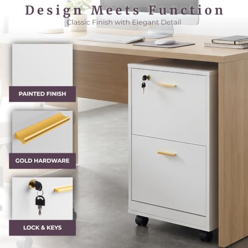White Wooden File Cabinet with Lock & 2 Drawers - 16x27 Inch, Gold Hardware Variation