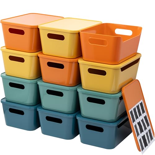 Dark Color 12 Pack 4.5L Plastic Storage Bins with Lids for Home & Office Organization