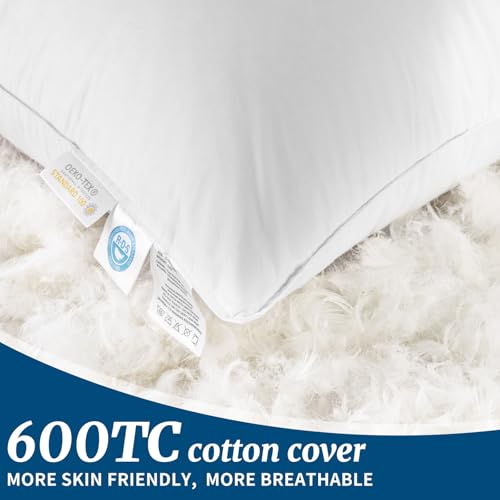 Queen Size Canadian Goose Down Pillow - 900 Fill Power White Luxury Bed Pillow - AiAngu