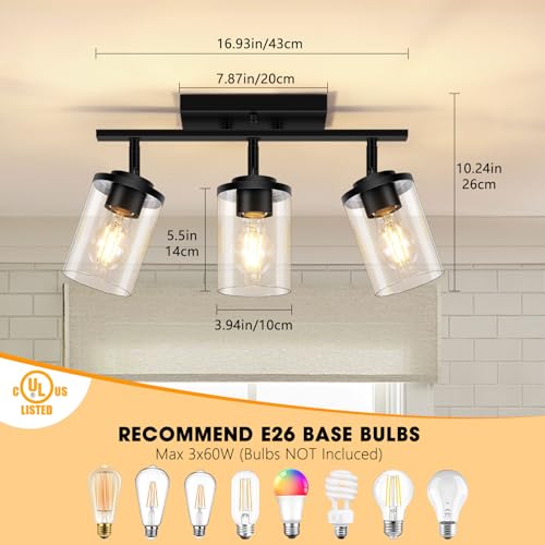 Black 3-Light Semi Flush Ceiling Light with Glass Shades - Adjustable Track Mount