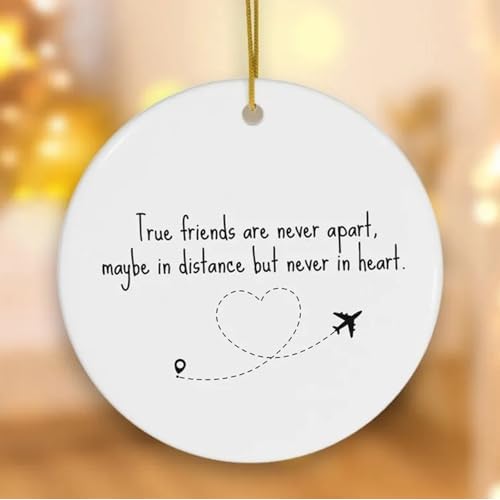 Funny Friendship Ornament,Friendship Ornament Dumb Gifts for Friends,Personalized Friend Christmas Ornaments Pendant for Best Friends BFF Bestie Soul Sister Gift (I'd Shank a Bitch for You)