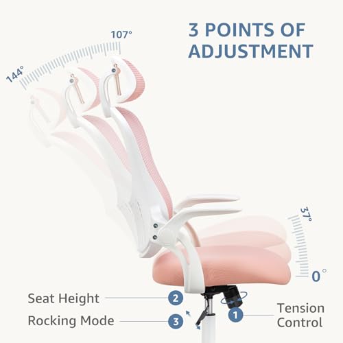 DUMOS Ergonomic Office Chair, Desk Computer Lumbar Support