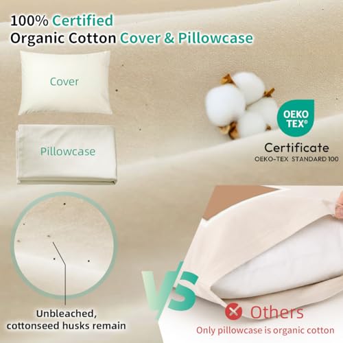 Organic Buckwheat Pillow 16x22 Off White with Organic Cotton Pillowcase