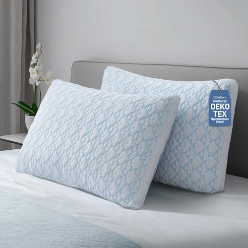 Queen Size Adjustable Shredded Memory Foam Pillow Set of 2 - Hypoallergenic Bamboo Viscose Cover