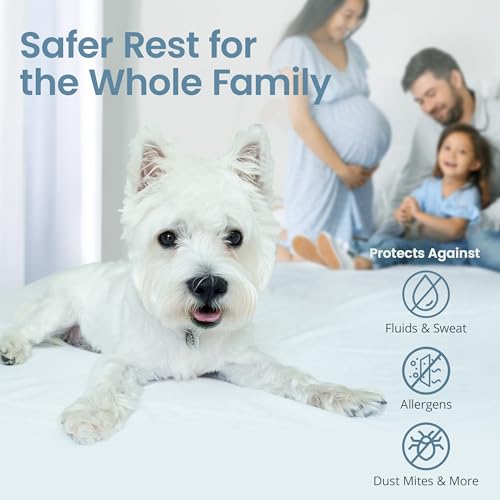 Queen Zippered Mattress Protector 9-12 Inch Waterproof Encasement - Breathable & Noiseless