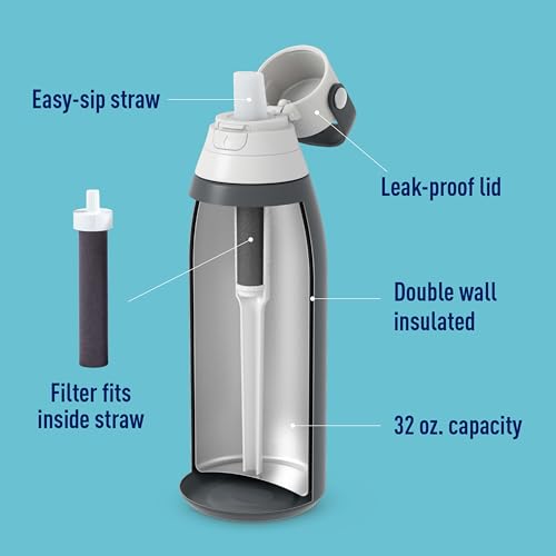 32oz Insulated Stainless Steel Water Bottle with Filter - BPA-Free Reusable