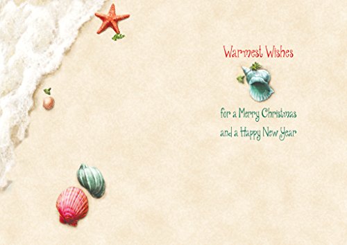 Lux Press Boxed Christmas Cards with Glitter Embellishment & Coordinating Envelopes – Shell Tree Design, 14 Cards