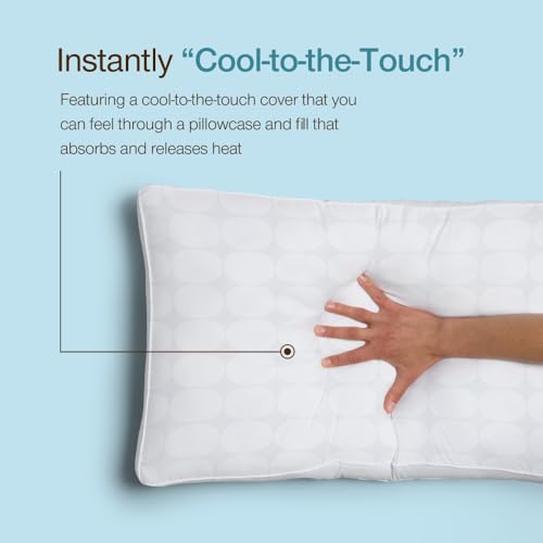 Coop Home Goods Essence Cooling Queen Adjustable Down Alternative Pillow Set of 2 - Classic Variant