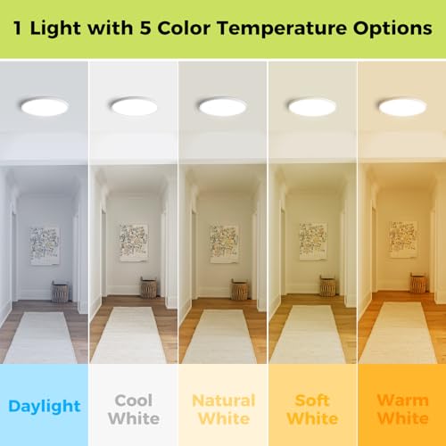 hepside 2-Pack White 12-Inch Dimmable LED Flush Mount Ceiling Light, 5 Color Temp