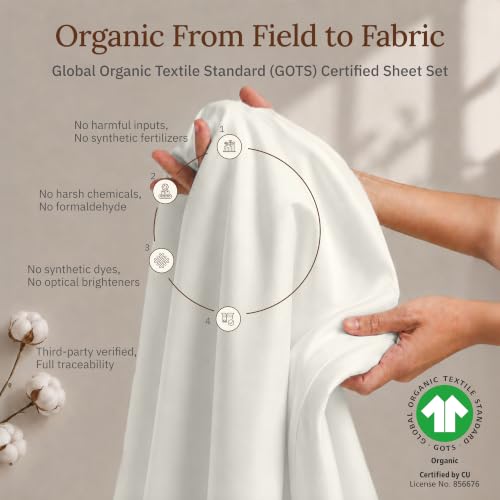 King Organic Cotton Bed Sheets - Soft Cream, 4-Piece Sateen Set
