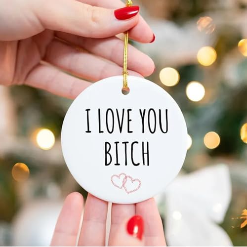 Funny Friendship Ornament,Friendship Ornament Dumb Gifts for Friends,Personalized Friend Christmas Ornaments Pendant for Best Friends BFF Bestie Soul Sister Gift (I'd Shank a Bitch for You)