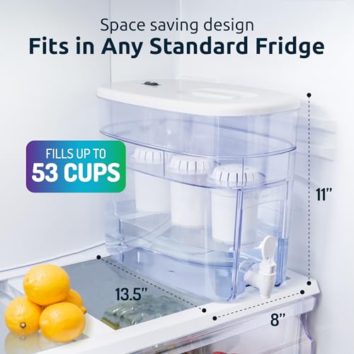 Invigorated Water Alkaline Water Dispenser White 53-Cup Capacity with 3 Filters