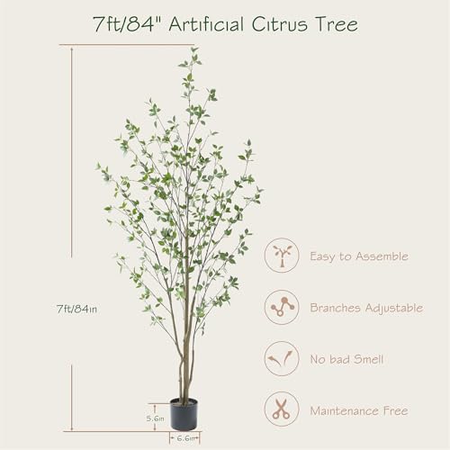 Bellacat 7ft Artificial Citrus Tree - Black Faux Tree with Realistic Leaves & Trunk