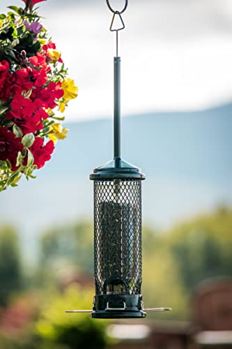 Mini Squirrel-Proof Bird Feeder - 1 Pack, Seed Saver, Compact Design