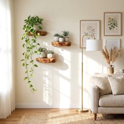 WELLAND Cedar Wood Floating Plant Shelves, Set of 3