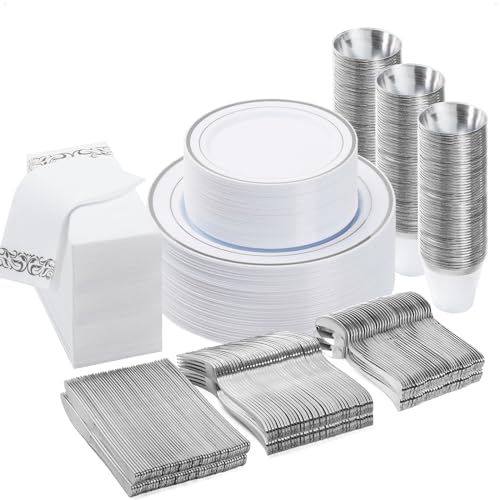Silver Disposable Dinnerware Set for 50 Guests - 350 pcs - BESTVIP