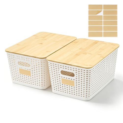 Bagnizer 2 Pack Tall Plastic Storage Bins with Bamboo Lids, 10.8qt