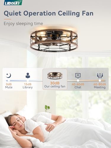 20-Inch Caged Low Profile Ceiling Fan with Light & Remote - Black & Gold